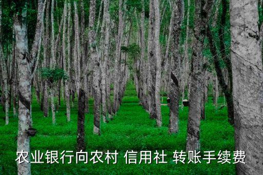 農(nóng)業(yè)銀行向農(nóng)村 信用社 轉(zhuǎn)賬手續(xù)費(fèi)