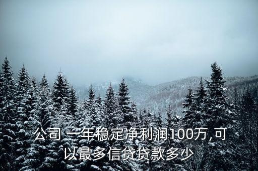  公司 一年穩(wěn)定凈利潤100萬,可以最多信貸貸款多少