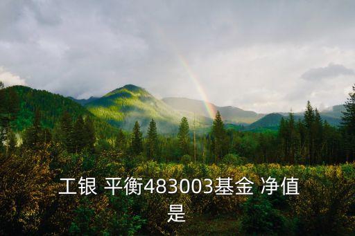  工銀 平衡483003基金 凈值是