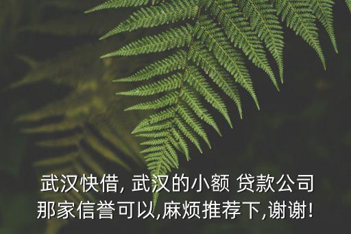  武漢快借, 武漢的小額 貸款公司那家信譽(yù)可以,麻煩推薦下,謝謝!