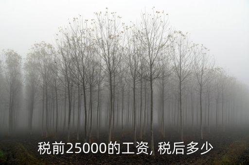 月薪 稅前 稅后多少錢,月薪稅后計(jì)算