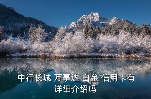  中行長(zhǎng)城 萬(wàn)事達(dá) 白金 信用卡有詳細(xì)介紹嗎