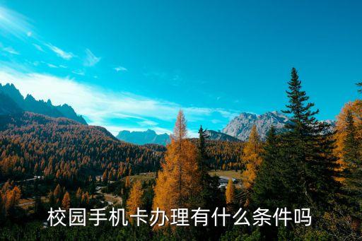 學生卡要多少歲人能辦,重慶市學生卡可以用到多少歲