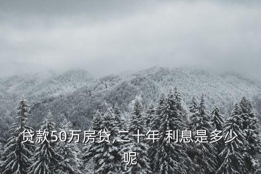 貸款50萬(wàn)房貸,二十年 利息是多少呢
