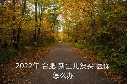 合肥新生兒醫(yī)保交多少費(fèi)用是多少,新生兒醫(yī)保首次交多少錢