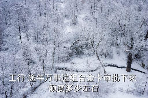 工行 途牛萬(wàn)事達(dá)組合金卡審批下來(lái) 額度多少左右