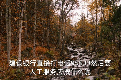 中國建設(shè)銀行信用卡客戶電話號碼是多少錢