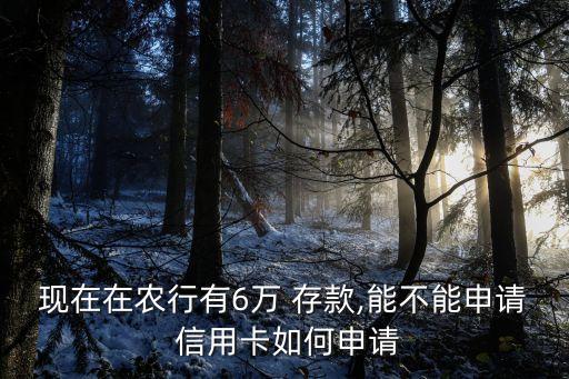 怎么用存款辦信用卡額度是多少,存款1000萬能辦多少額度信用卡