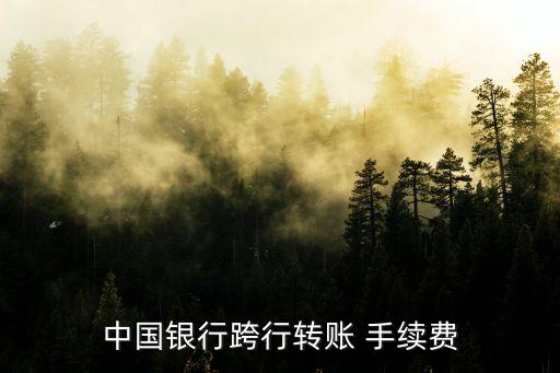 在外地往中行打錢手續(xù)費是多少
