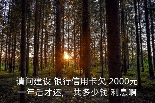 請問建設(shè) 銀行信用卡欠 2000元一年后才還,一共多少錢 利息啊