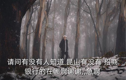 請問有沒有人知道 昆山有沒有 招商銀行的在哪啊謝謝,,急啊