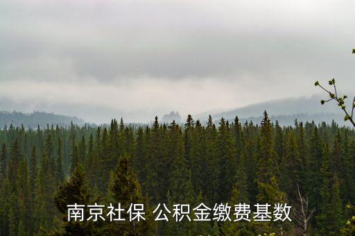  南京社保 公積金繳費(fèi)基數(shù)