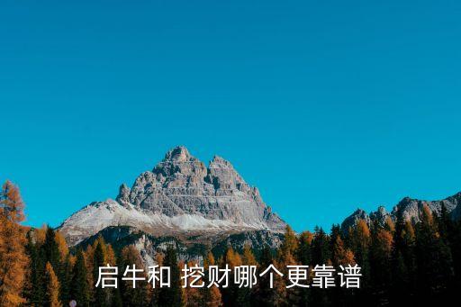 啟牛和 挖財哪個更靠譜