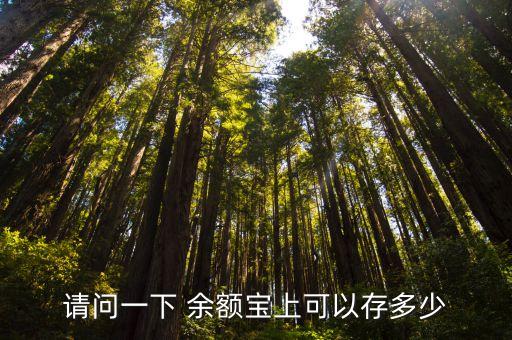 請(qǐng)問(wèn)一下 余額寶上可以存多少
