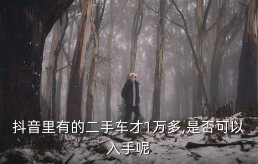 抖音里有的二手車才1萬多,是否可以入手呢