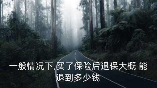一般情況下,買了保險(xiǎn)后退保大概 能退到多少錢