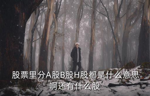  股票里分A股B股H股都是什么意思啊還有什么股