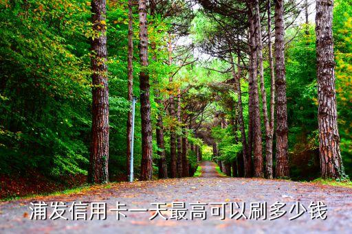 浦發(fā)15000額度能刷多少錢,浦發(fā)信用卡額度15000算高嗎
