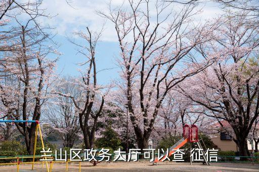 蘭山區(qū)政務(wù)大廳可以查 征信