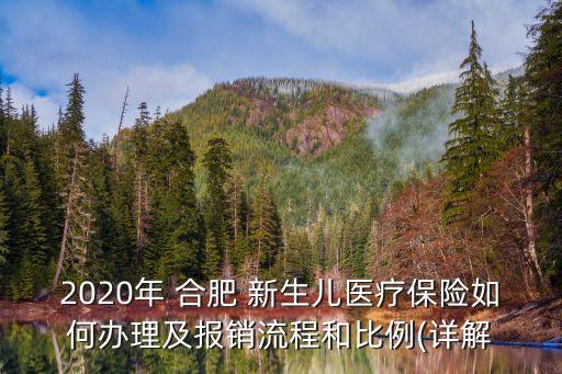 2020年 合肥 新生兒醫(yī)療保險(xiǎn)如何辦理及報(bào)銷流程和比例(詳解