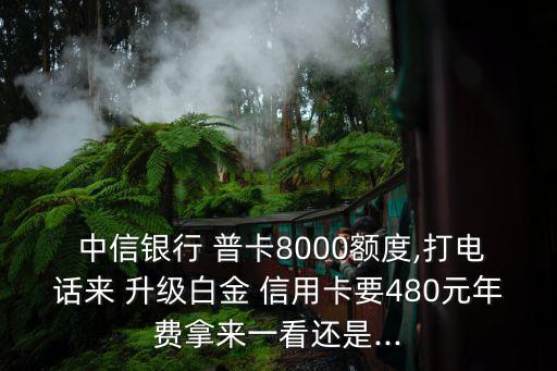  中信銀行 普卡8000額度,打電話來 升級白金 信用卡要480元年費拿來一看還是...