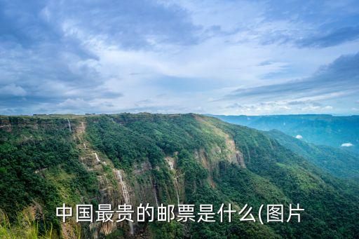 中國最貴的郵票是什么(圖片
