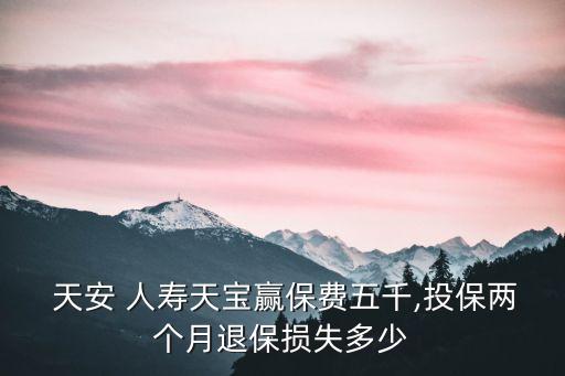  天安 人壽天寶贏保費五千,投保兩個月退保損失多少