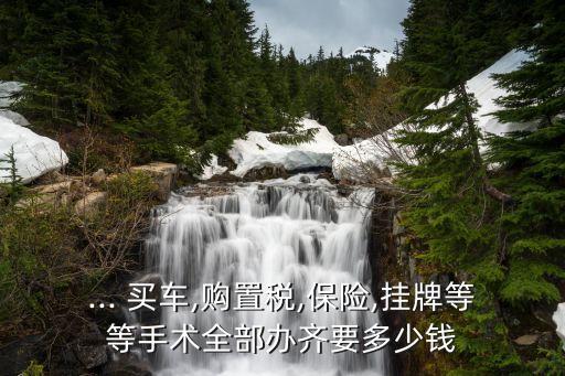 ... 買車,購置稅,保險(xiǎn),掛牌等等手術(shù)全部辦齊要多少錢
