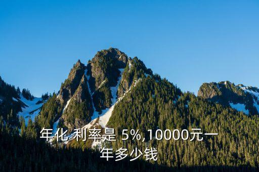 年化 利率是 5%,10000元一年多少錢