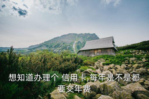 想知道辦理個(gè) 信用卡,每年是不是都要交年費(fèi)