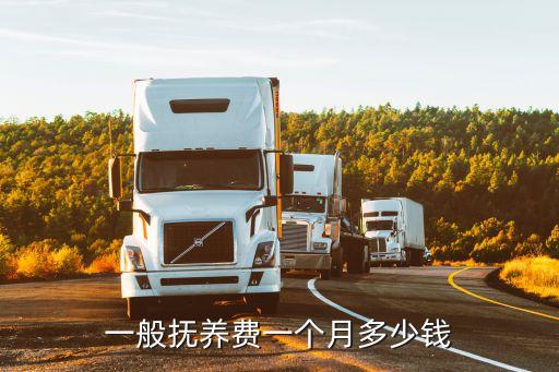 一般撫養(yǎng)費(fèi)一個(gè)月多少錢