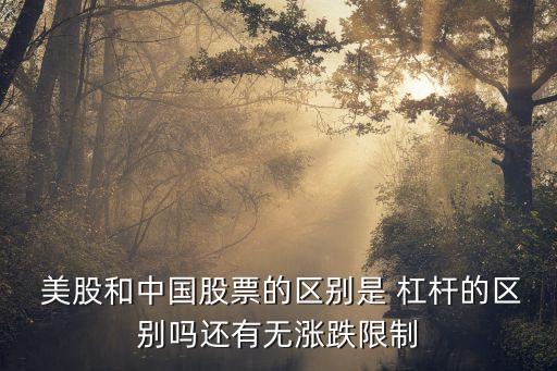  美股和中國股票的區(qū)別是 杠桿的區(qū)別嗎還有無漲跌限制