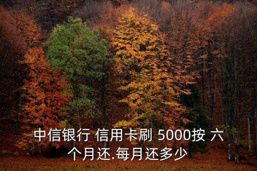 中信銀行 信用卡刷 5000按 六個(gè)月還.每月還多少