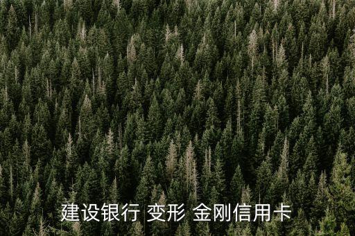 建設(shè)銀行 變形 金剛信用卡