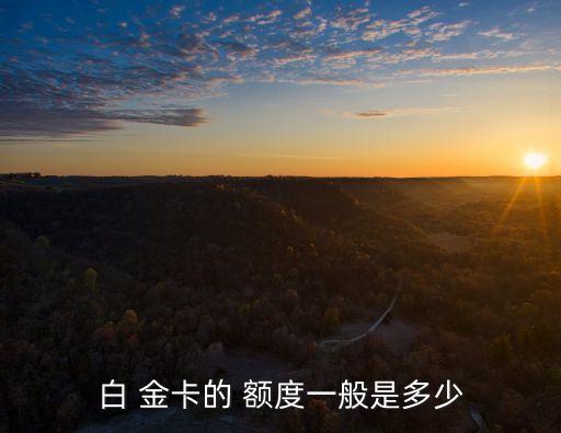 陽(yáng)光商旅信用卡白金卡 最少額度是多少錢,光大信用卡陽(yáng)光商旅白金卡年費(fèi)