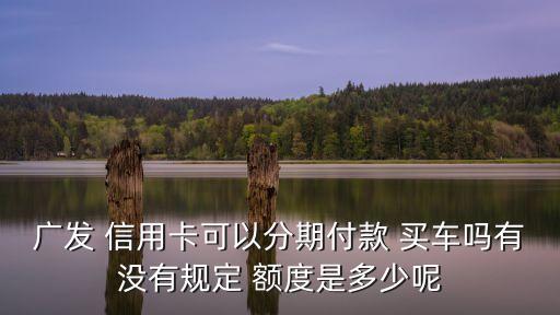信用卡買車額度為多少,招商信用卡買車額度一定能批嗎