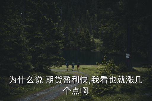 為什么說(shuō) 期貨盈利快,我看也就漲幾個(gè)點(diǎn)啊