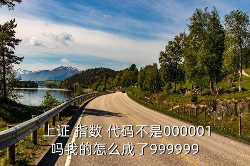  上證 指數(shù) 代碼不是000001嗎我的怎么成了999999