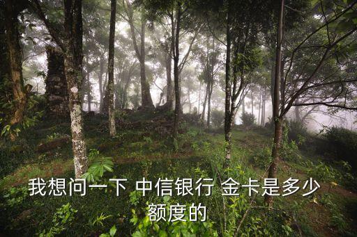 中信v版金卡額度是多少錢,中信金卡升級(jí)白金卡額度會(huì)變嗎