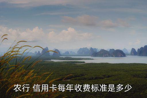 農(nóng)行 信用卡每年收費(fèi)標(biāo)準(zhǔn)是多少