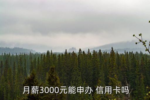  月薪3000元能申辦 信用卡嗎