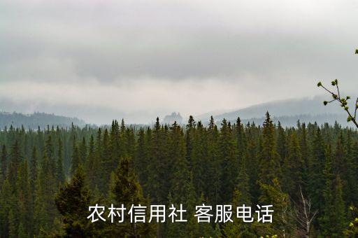 深圳農(nóng)村商業(yè)銀行客服號碼是多少錢,東莞農(nóng)村商業(yè)銀行電話客服號碼
