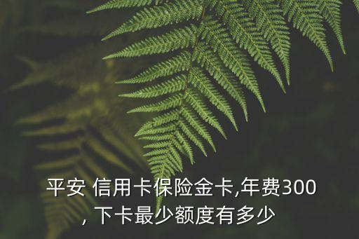 平安 信用卡保險金卡,年費300, 下卡最少額度有多少