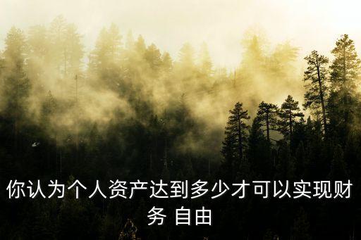 你認(rèn)為個(gè)人資產(chǎn)達(dá)到多少才可以實(shí)現(xiàn)財(cái)務(wù) 自由