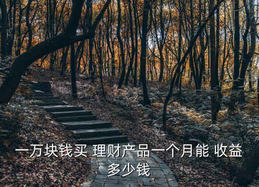 一萬塊錢買 理財(cái)產(chǎn)品一個(gè)月能 收益多少錢