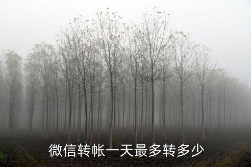微信怎么查轉(zhuǎn)賬額度是多少錢,怎么查微信轉(zhuǎn)賬記錄一個人所有記錄