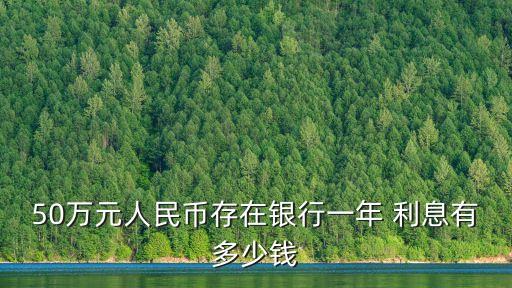 50萬元人民幣存在銀行一年 利息有多少錢