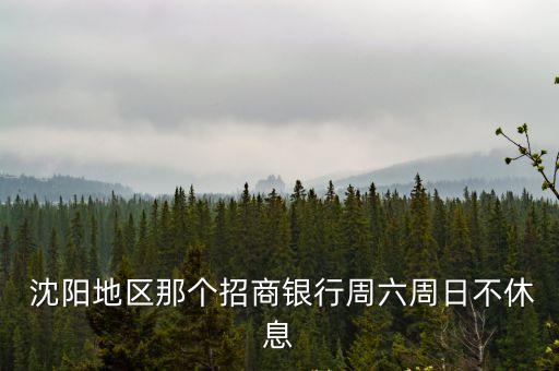  沈陽地區(qū)那個(gè)招商銀行周六周日不休息