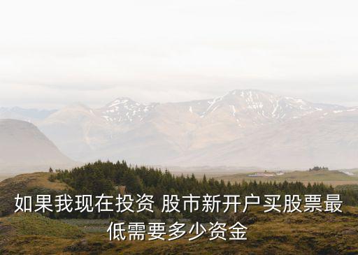 初入股市要多少錢,20萬入股市一年賺多少