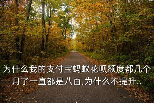 為什么我的支付寶螞蟻花唄額度都幾個月了一直都是八百,為什么不提升...